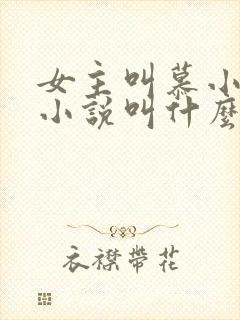 女主叫慕小小的小说叫什么名字