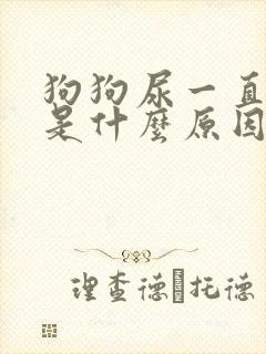 狗狗尿一直很黄是什么原因