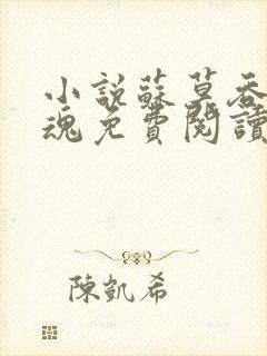 小说苏莫吞噬武魂免费阅读