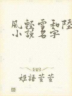 风轻雪和陆江的小说名字