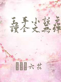 王平小说免费阅读全文无弹窗