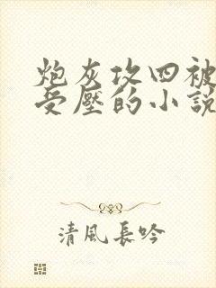 炮灰攻四被主角受压的小说