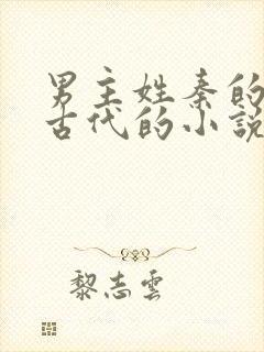 男主姓秦的穿越古代的小说