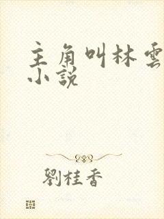 主角叫林云全部小说