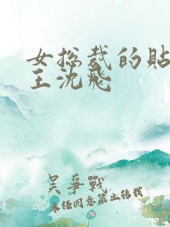 女总裁的贴身兵王沈飞