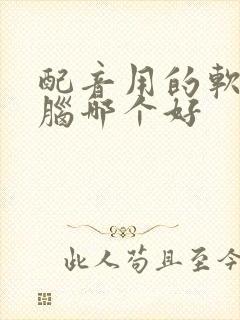 配音用的软件电脑哪个好