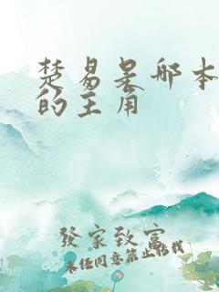 楚易是哪本小说的主角