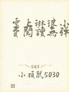 云上琳琅小说免费阅读无弹窗