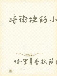 暗卫攻的小说