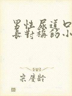 男性尿道口两侧长对称的小疙瘩