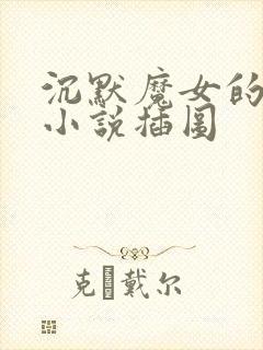 沉默魔女的秘密小说插图