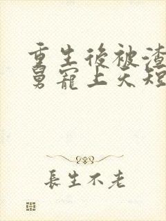 重生后被渣男舅舅宠上天短剧