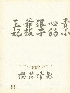 王爷狠心责罚王妃板子的小说