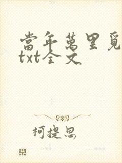 当年万里觅封侯txt全文