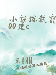 小说总裁宠妻100度c