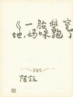 《一胎双宝:爹地,妈咪跑了》