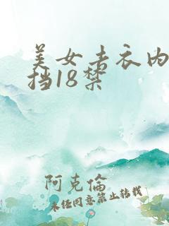 美女去衣内无遮挡18禁
