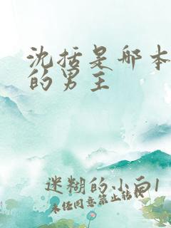 沈括是哪本小说的男主