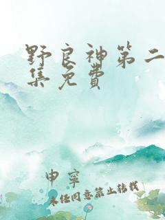 野良神第二季全集免费