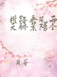 权路乘风而起化天骄叶阳全文