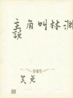 主角叫林渊的小说