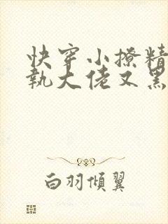 快穿小撩精:偏执大佬又黑化了小说