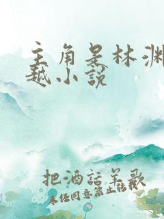 主角是林渊的穿越小说