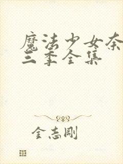 魔法少女奈叶第三季全集