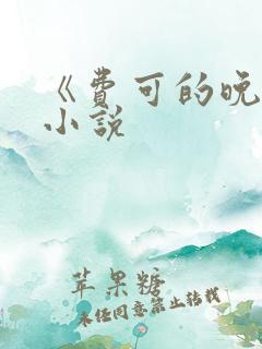 《费可的晚宴》小说