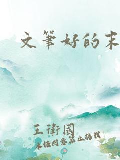 文笔好的末世文