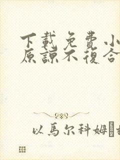 下载免费小说不原谅不复合苏小姐独美