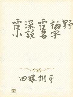 霍深霍栖野夏稚小说名字