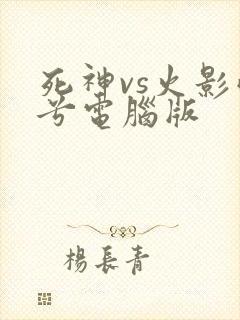 死神vs火影雨兮电脑版