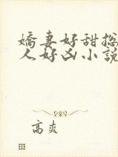 娇妻好甜总裁大人好凶小说全文阅读