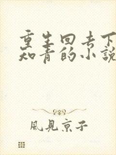 重生回去下乡做知青的小说