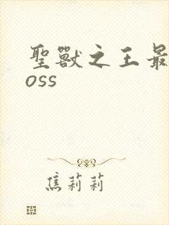 圣兽之王最终boss