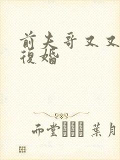 前夫哥又又又想复婚