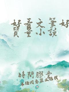 好看文笔好的高质量小说