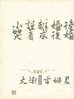 小说离婚后前夫哭着求复婚免费阅读