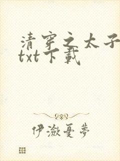 清穿之太子娇妃txt下载
