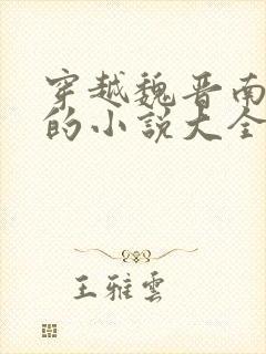 穿越魏晋南北朝的小说大全