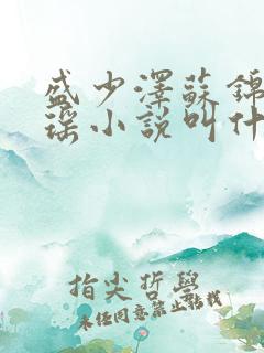 盛少泽苏锦林沐瑶小说叫什么