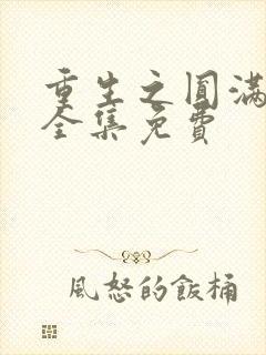 重生之圆满人生全集免费