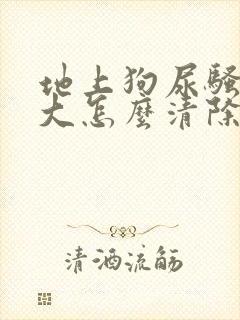 地上狗尿骚味很大怎么清除