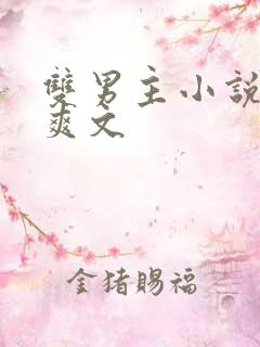 双男主小说推荐爽文