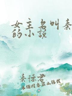 女主名叫秦晚晚的小说