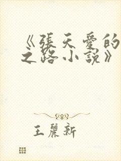 《张天爱的堕落之路小说》免费阅读