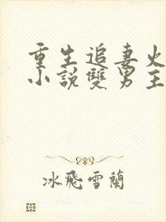 重生追妻火葬场小说双男主