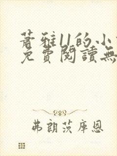 萧雅11的小说免费阅读无弹窗最新章节