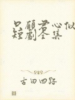 只愿君心似我心短剧全集